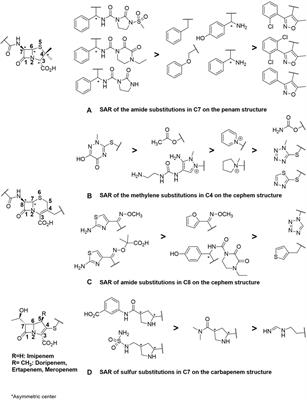 Molecular determinant deciphering of MIC-guided RND efflux substrates in E. coli